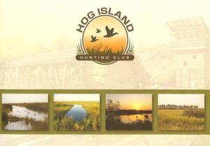 Hog Island Brochure